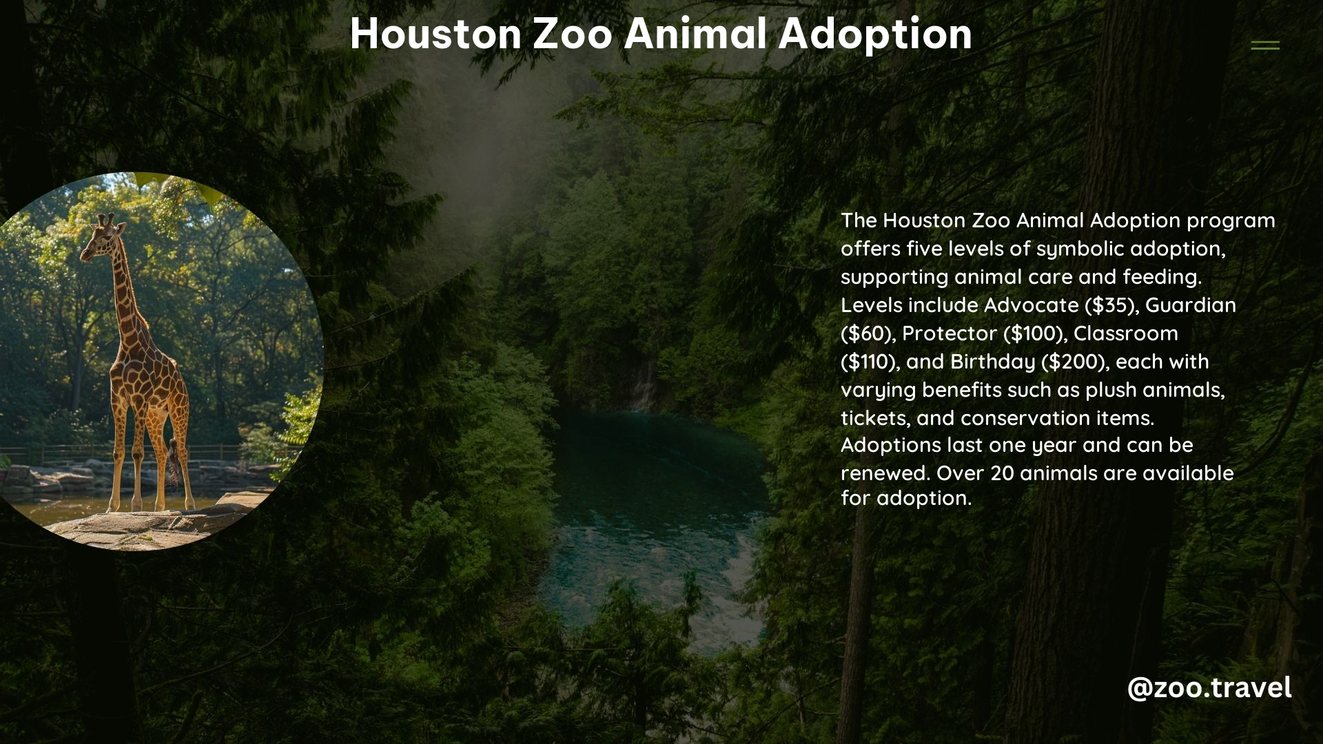 Houston Zoo Animal Adoption