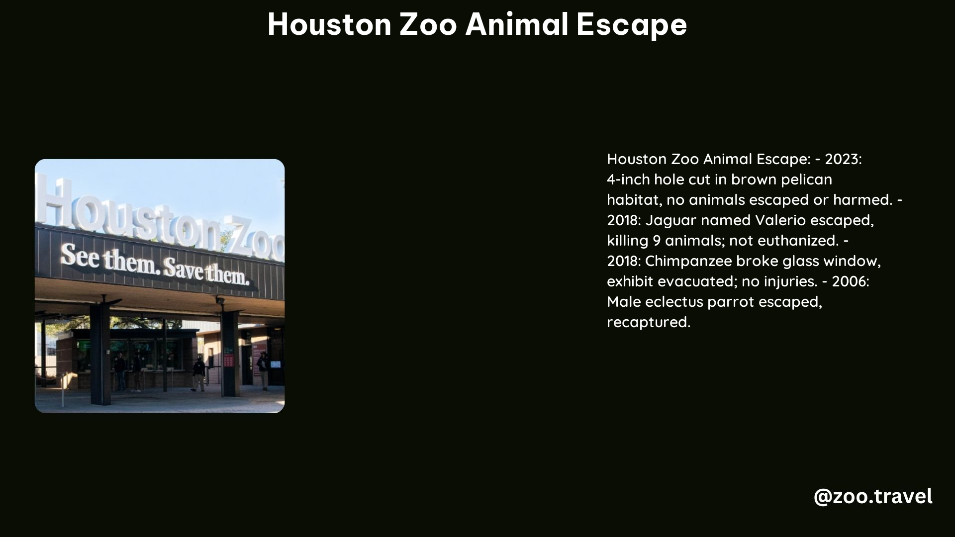 Houston Zoo Animal Escape