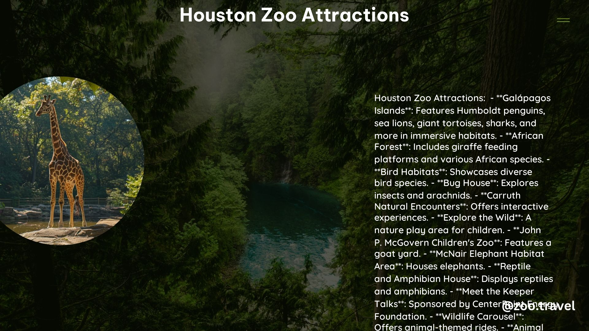 Houston Zoo Attractions