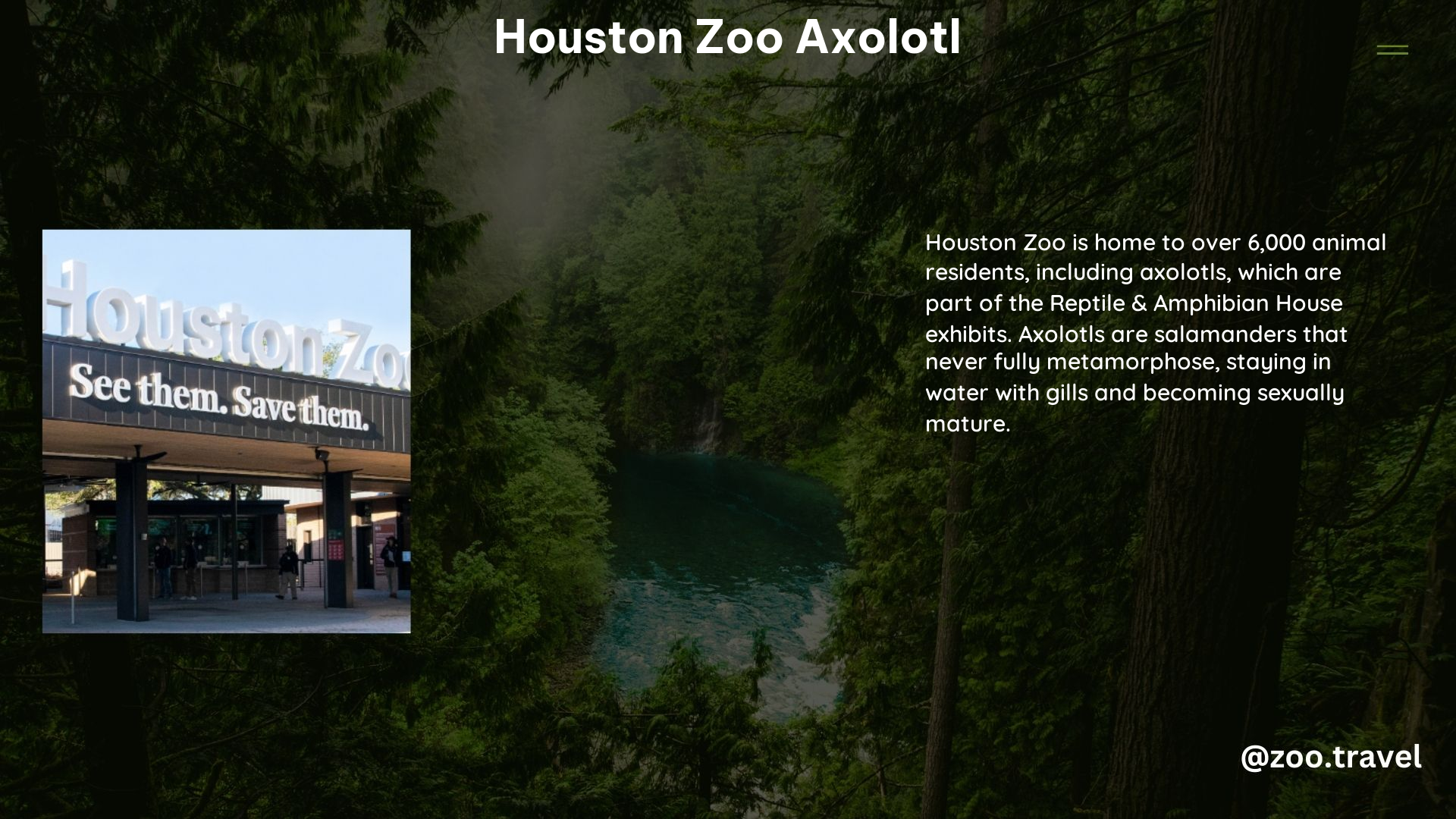 Houston Zoo