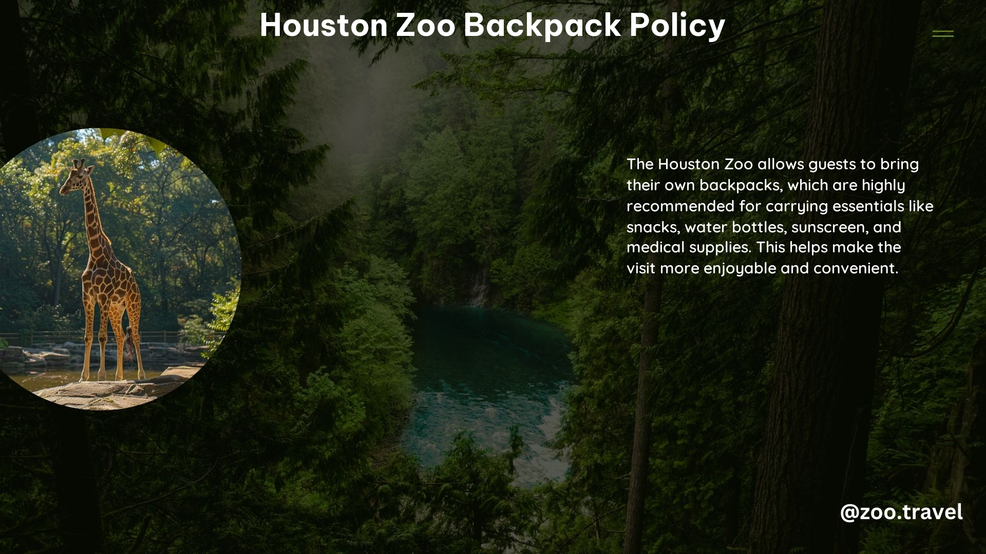 Houston Zoo Backpack Policy