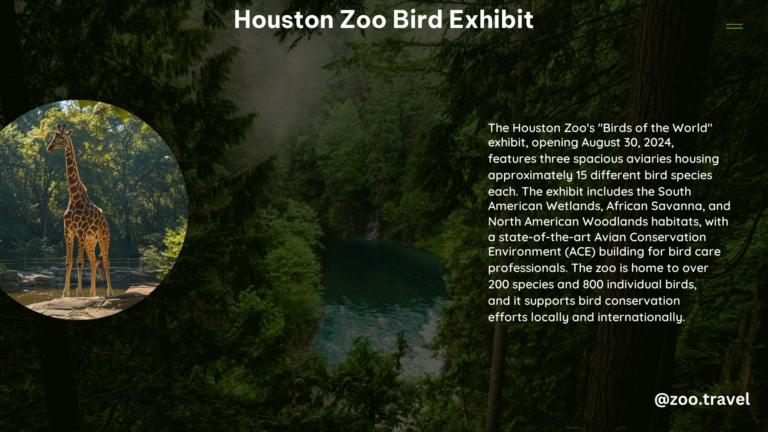 Houston Zoo Bird Exhibit