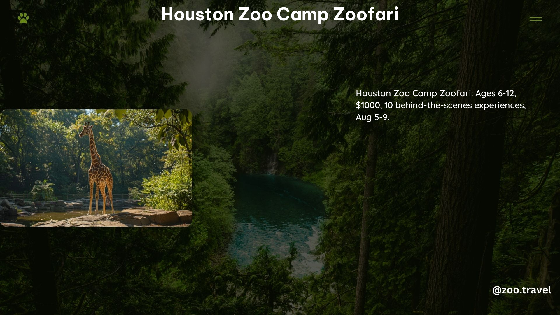 Houston Zoo Camp Zoofari