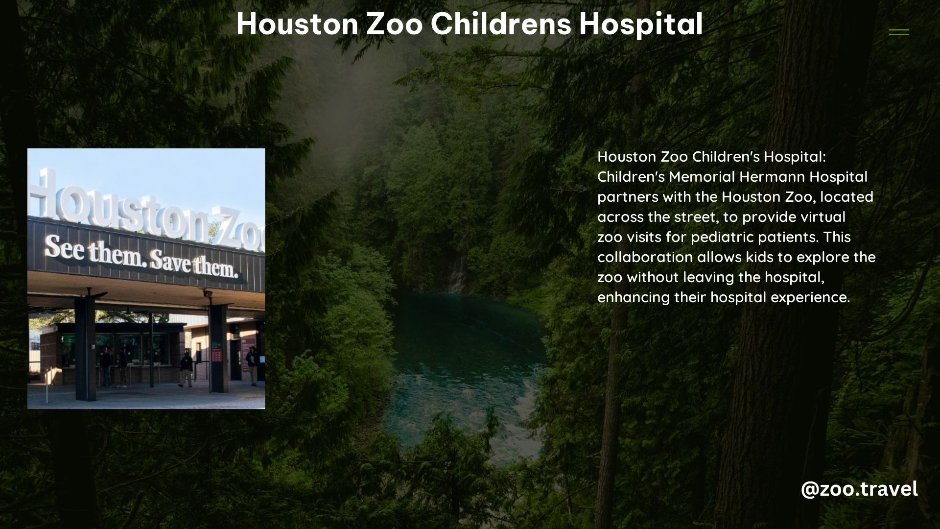 Houston Zoo Childrens Hospital