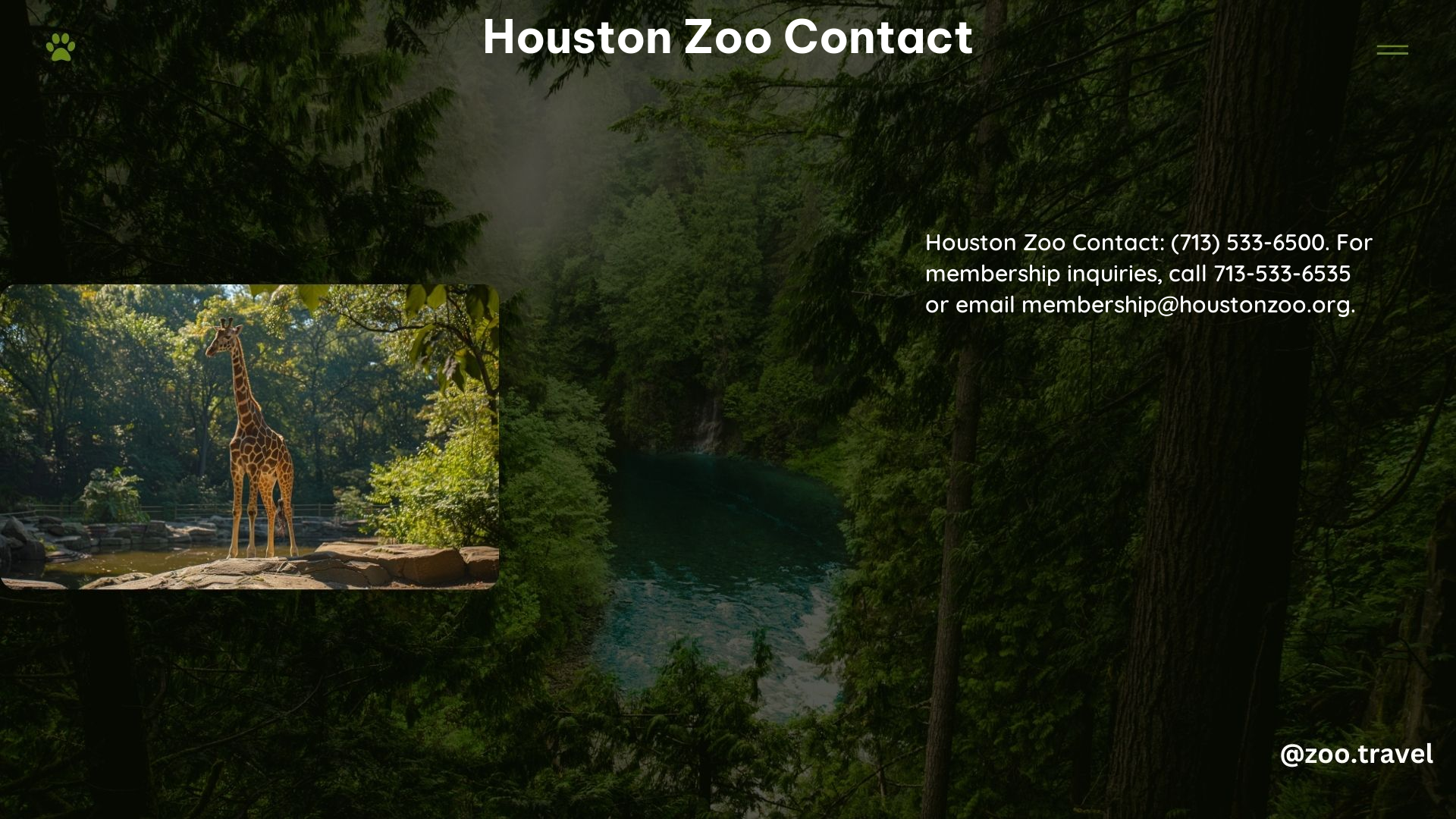 Houston Zoo Contact