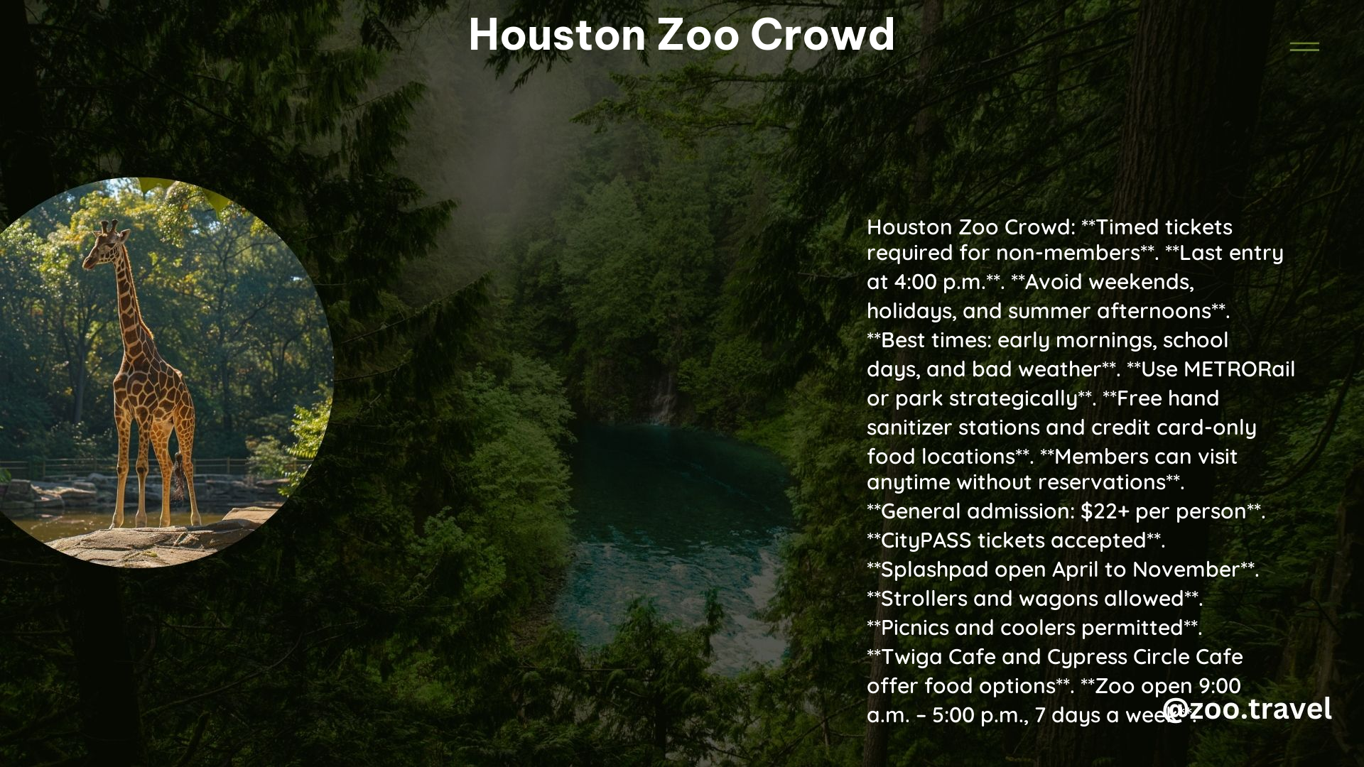 Houston Zoo Crowd