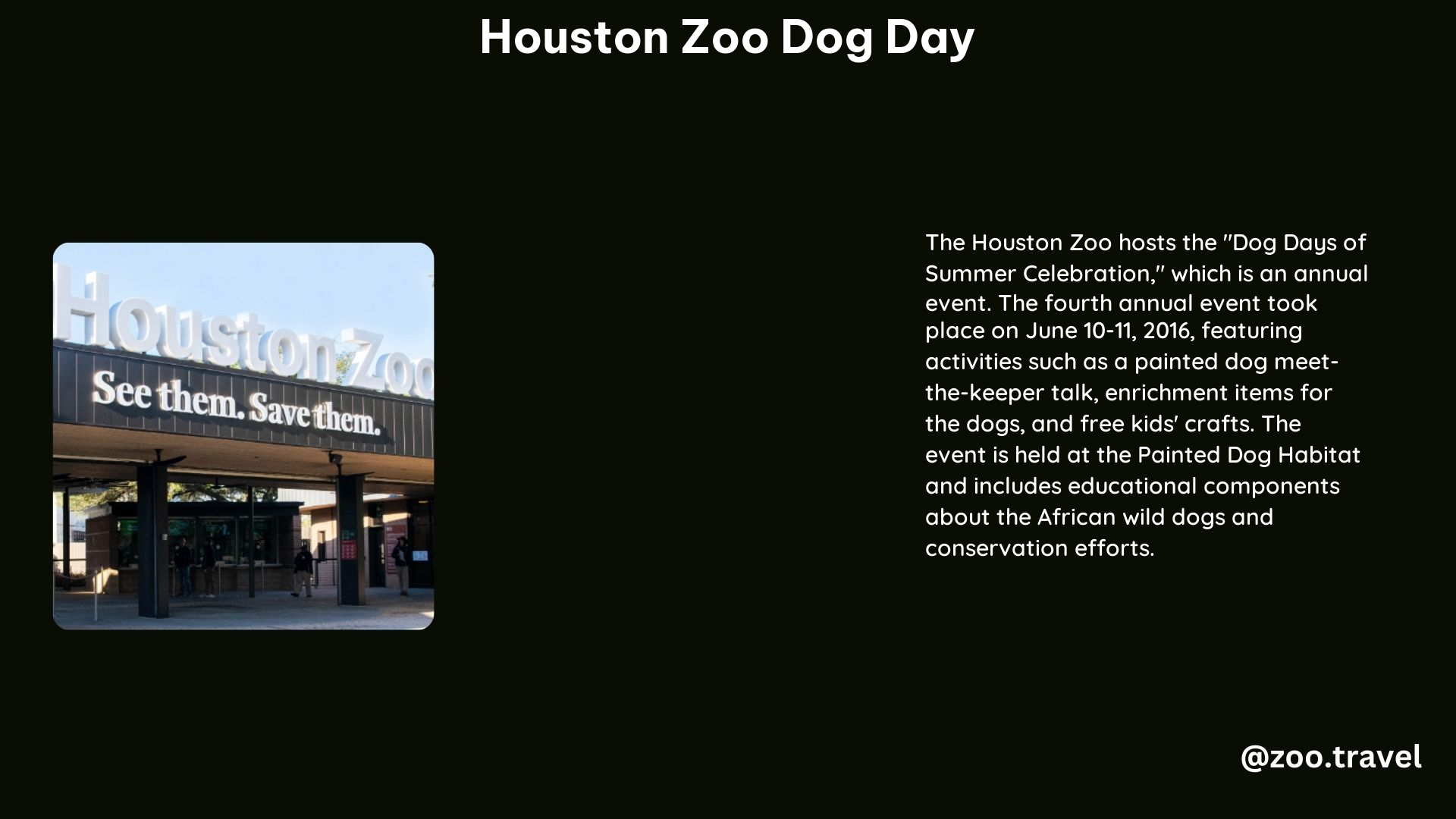 Houston Zoo Dog Day