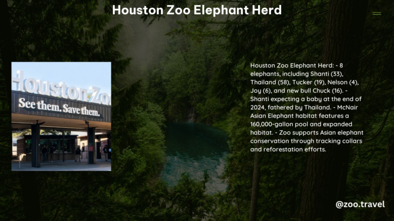 Houston Zoo Elephant Herd