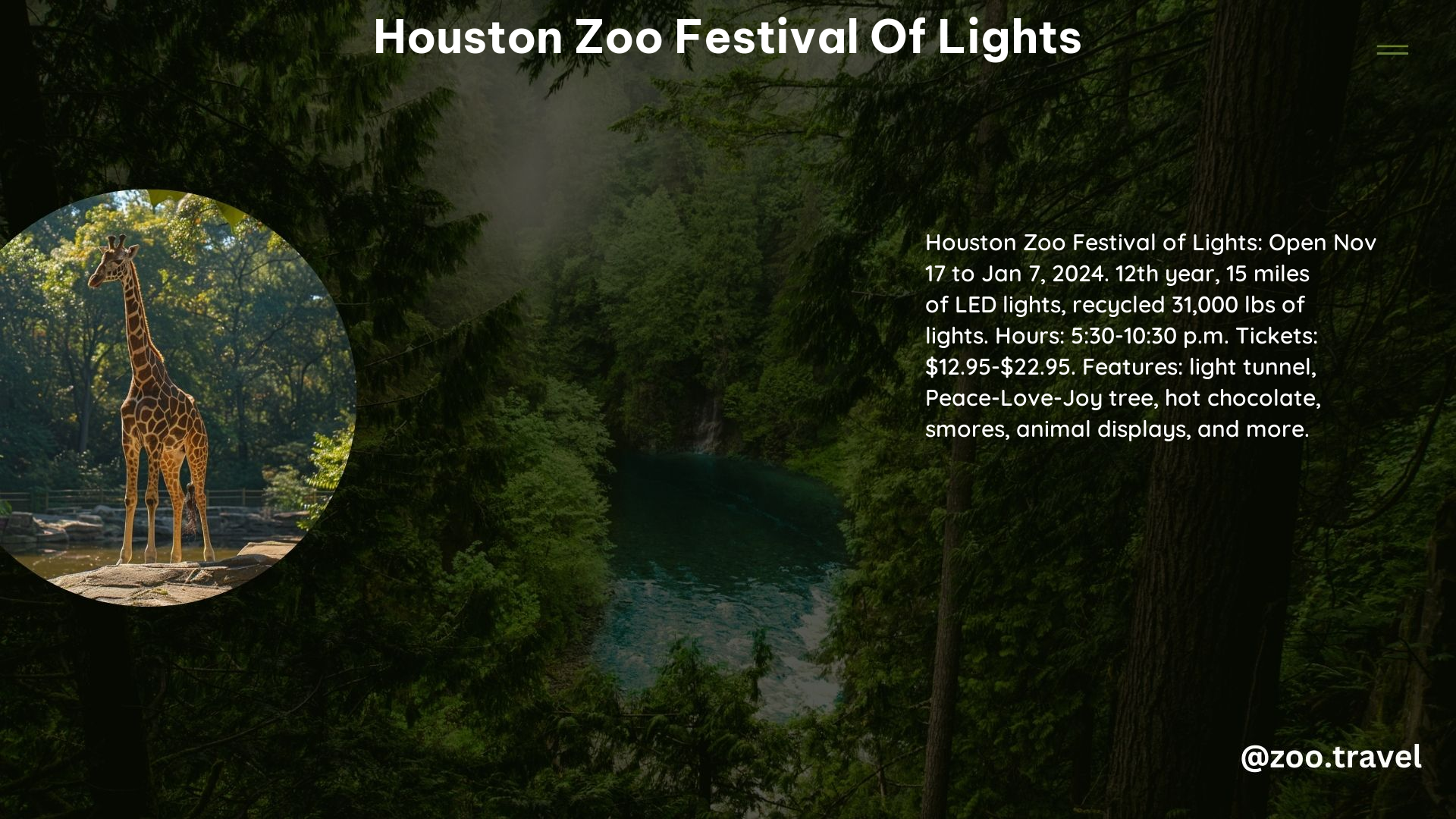 Houston Zoo Festival of Lights