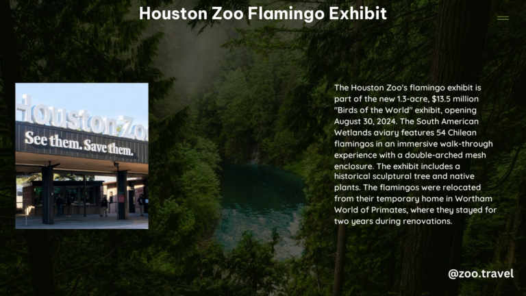 Houston Zoo Flamingo Exhibit