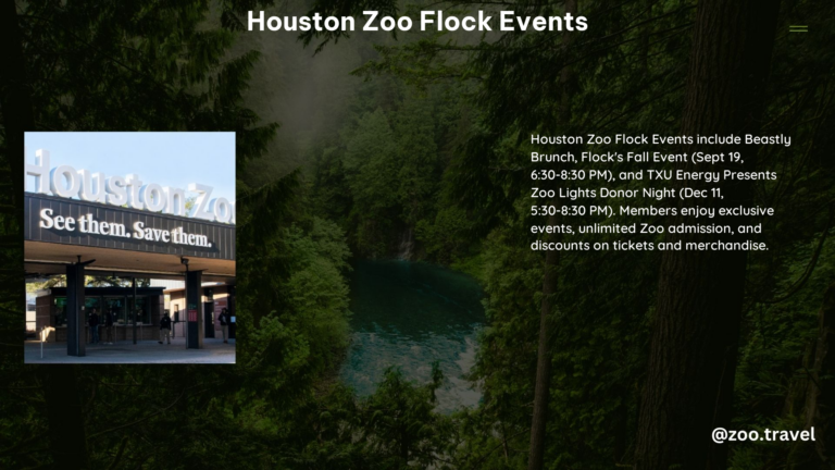 Houston Zoo Flock Events