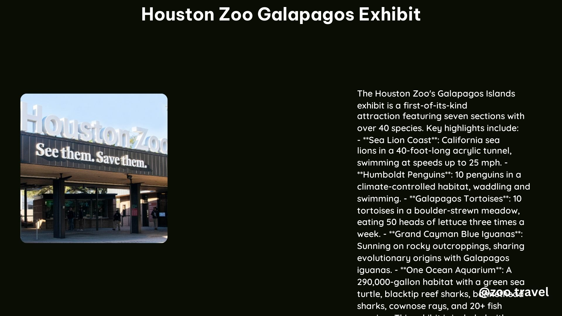 Houston Zoo Galapagos Exhibit