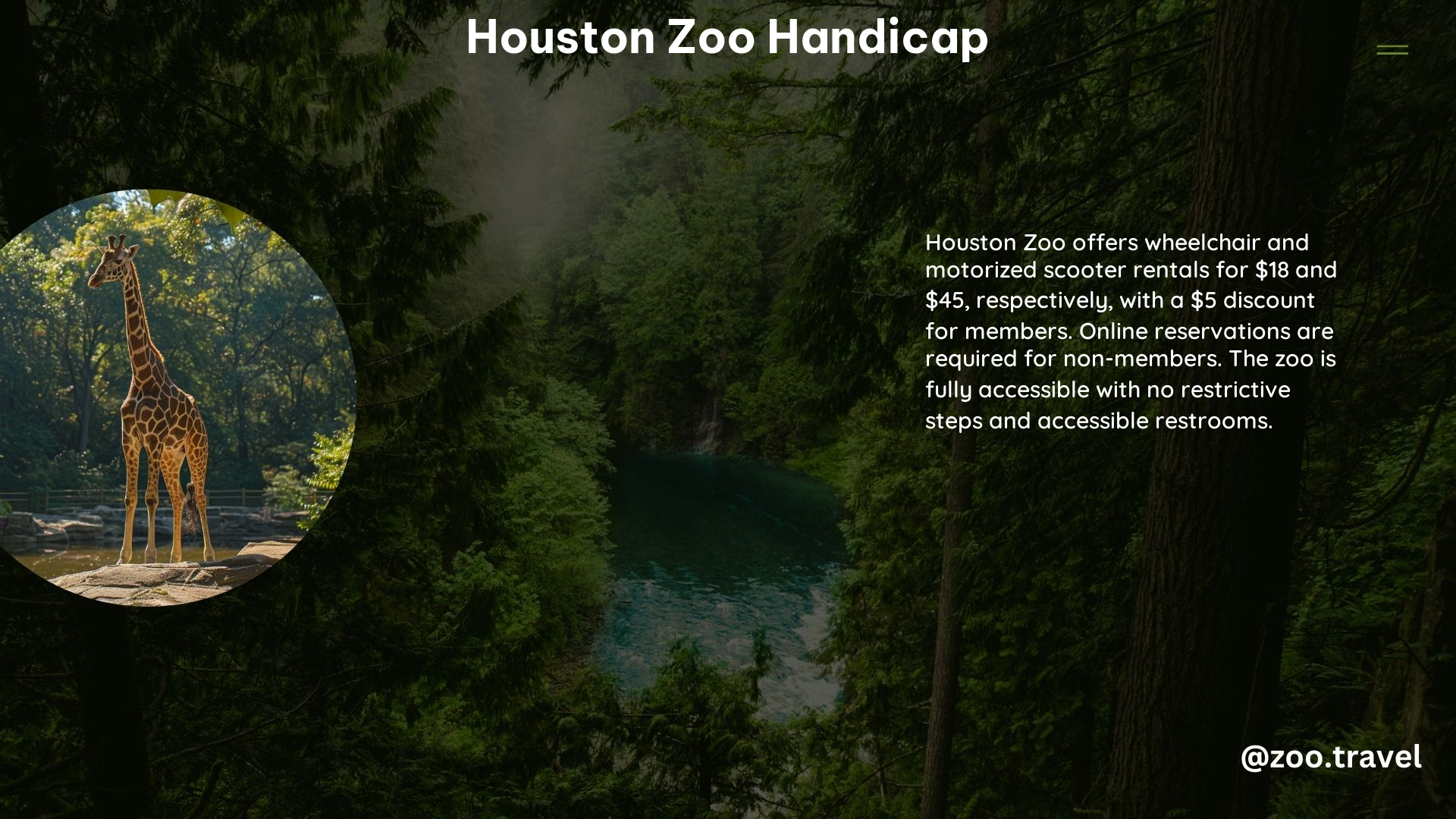 Houston Zoo Handicap