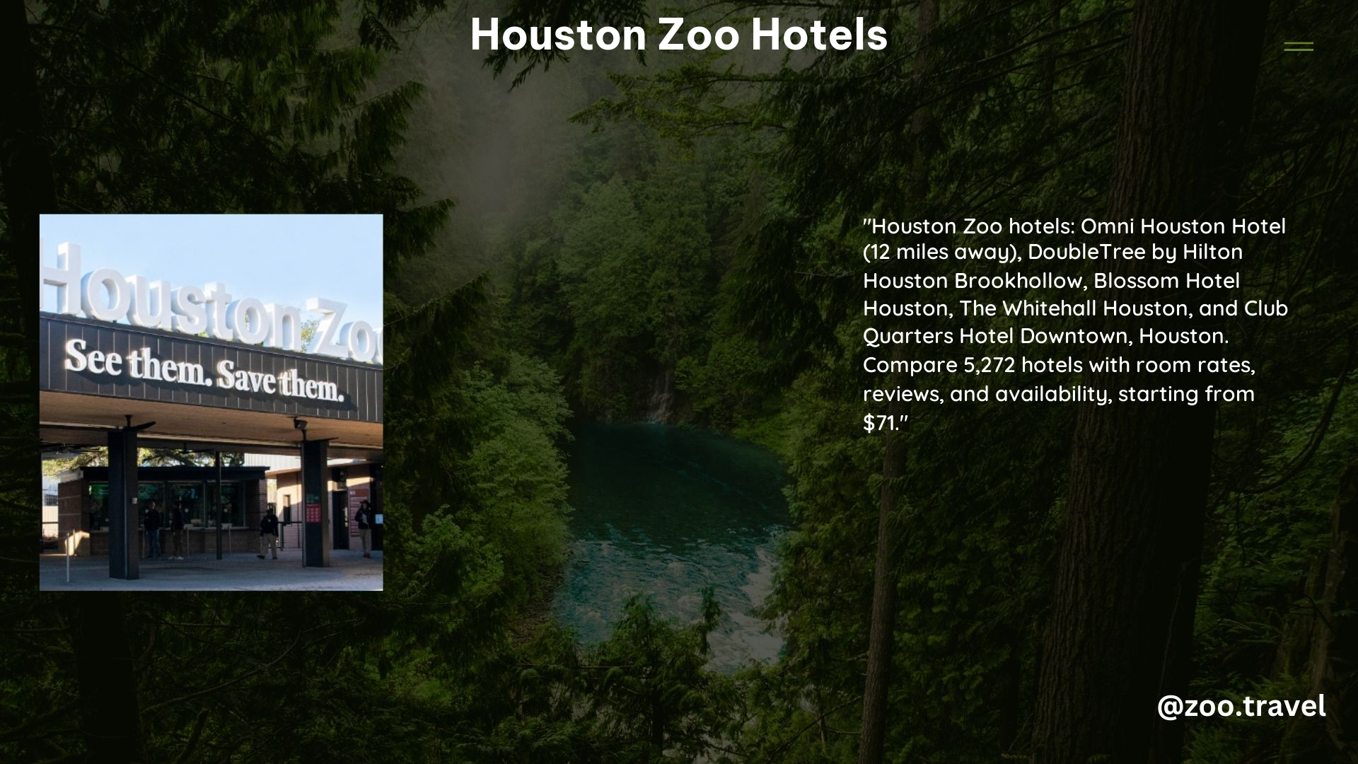 Houston Zoo Hotels