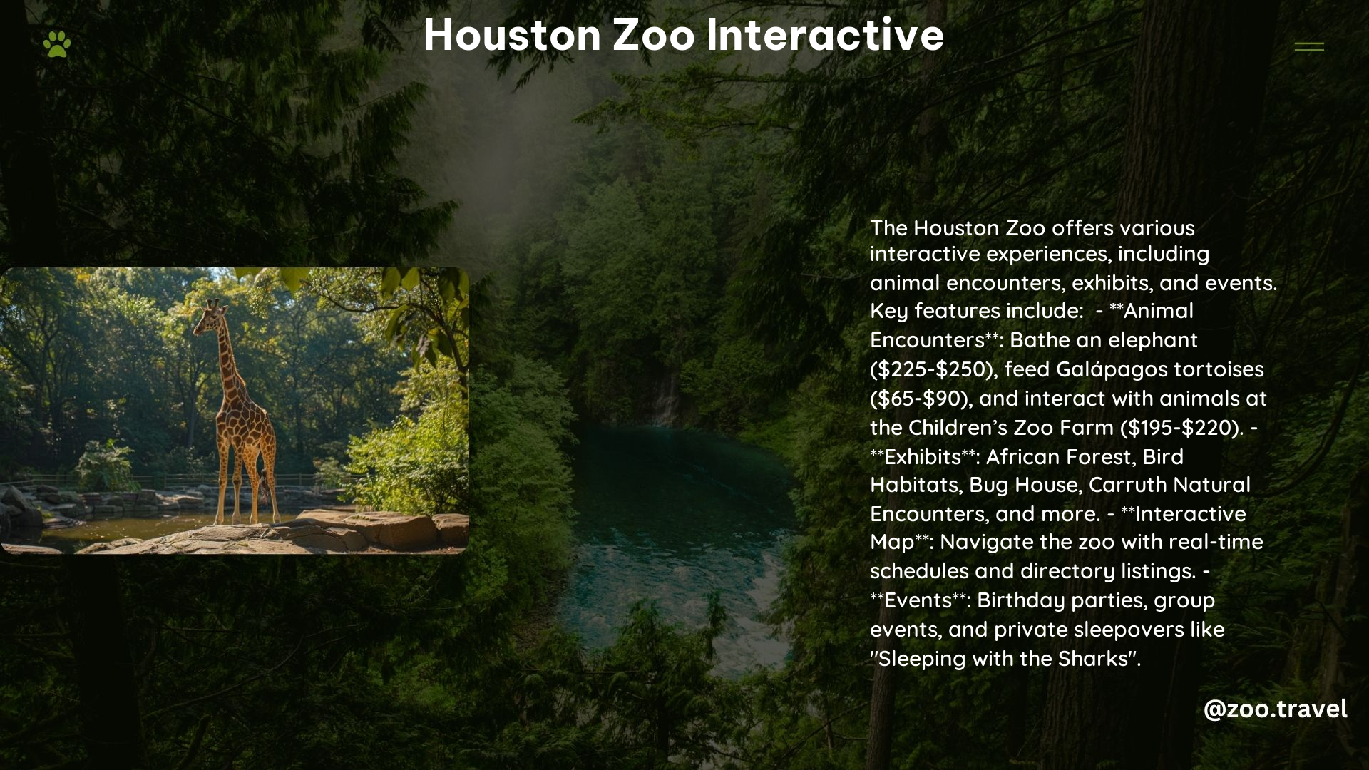 Houston Zoo Interactive