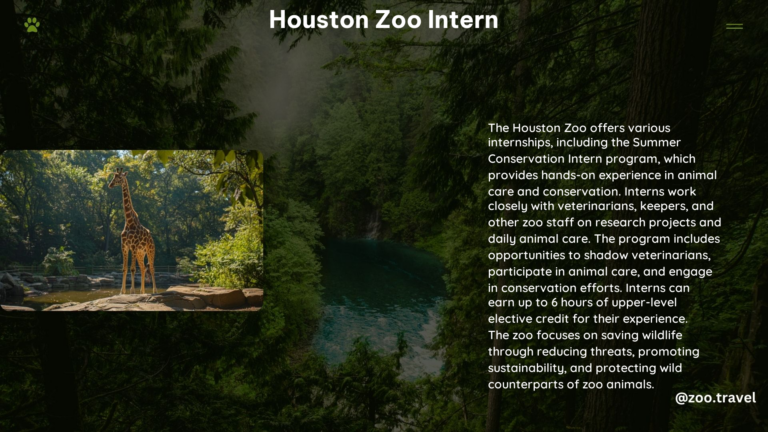 Houston Zoo Intern