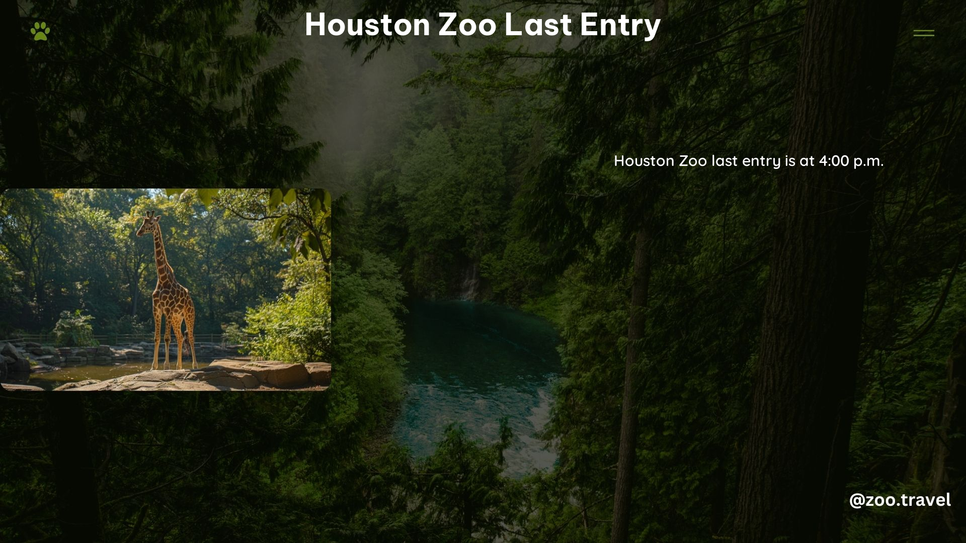 Houston Zoo Last Entry