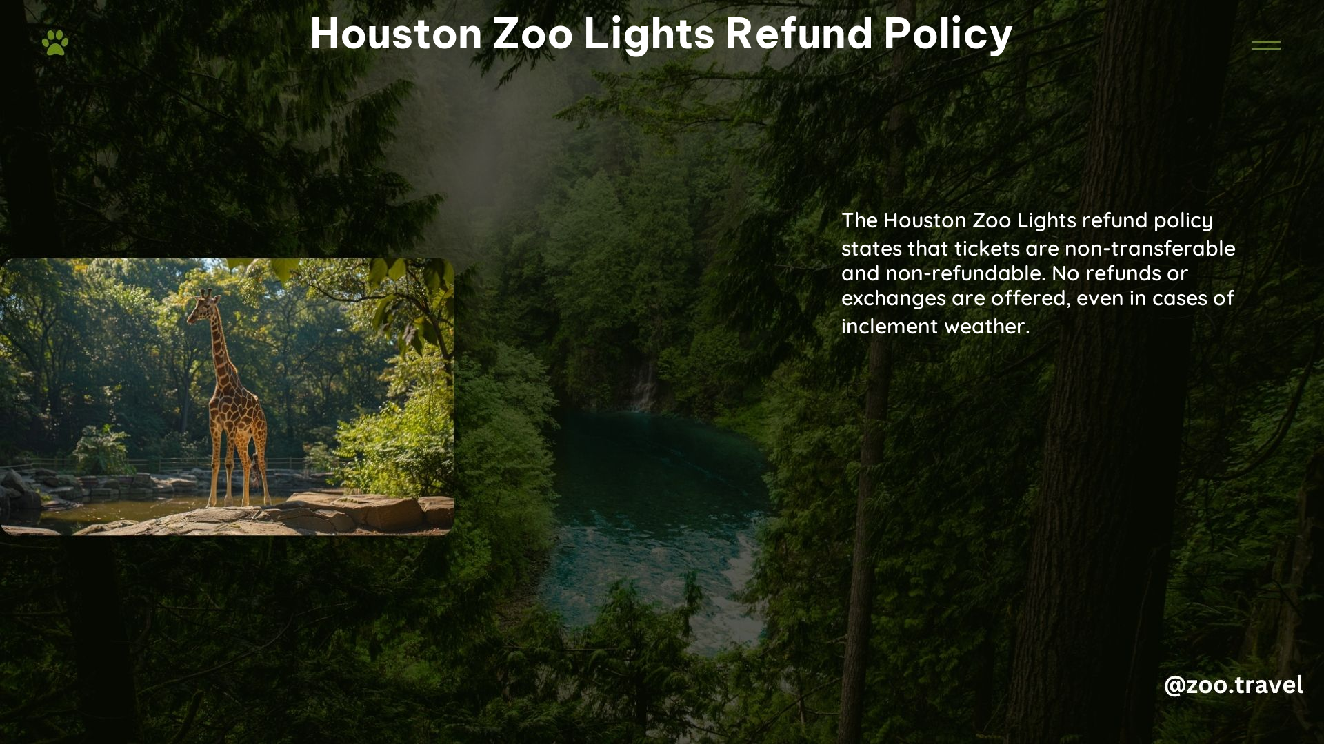 Houston Zoo Lights Refund Policy