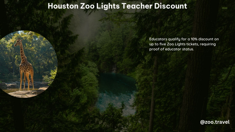 Houston Zoo Lights Teacher Discount