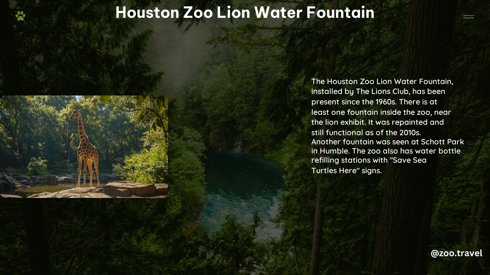 Houston Zoo Lion Water Fountain