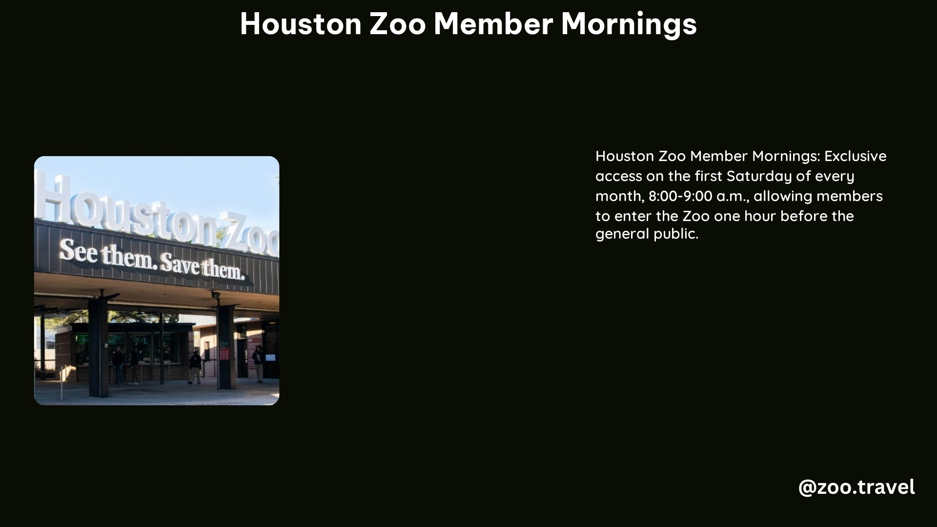 Houston Zoo Member Mornings