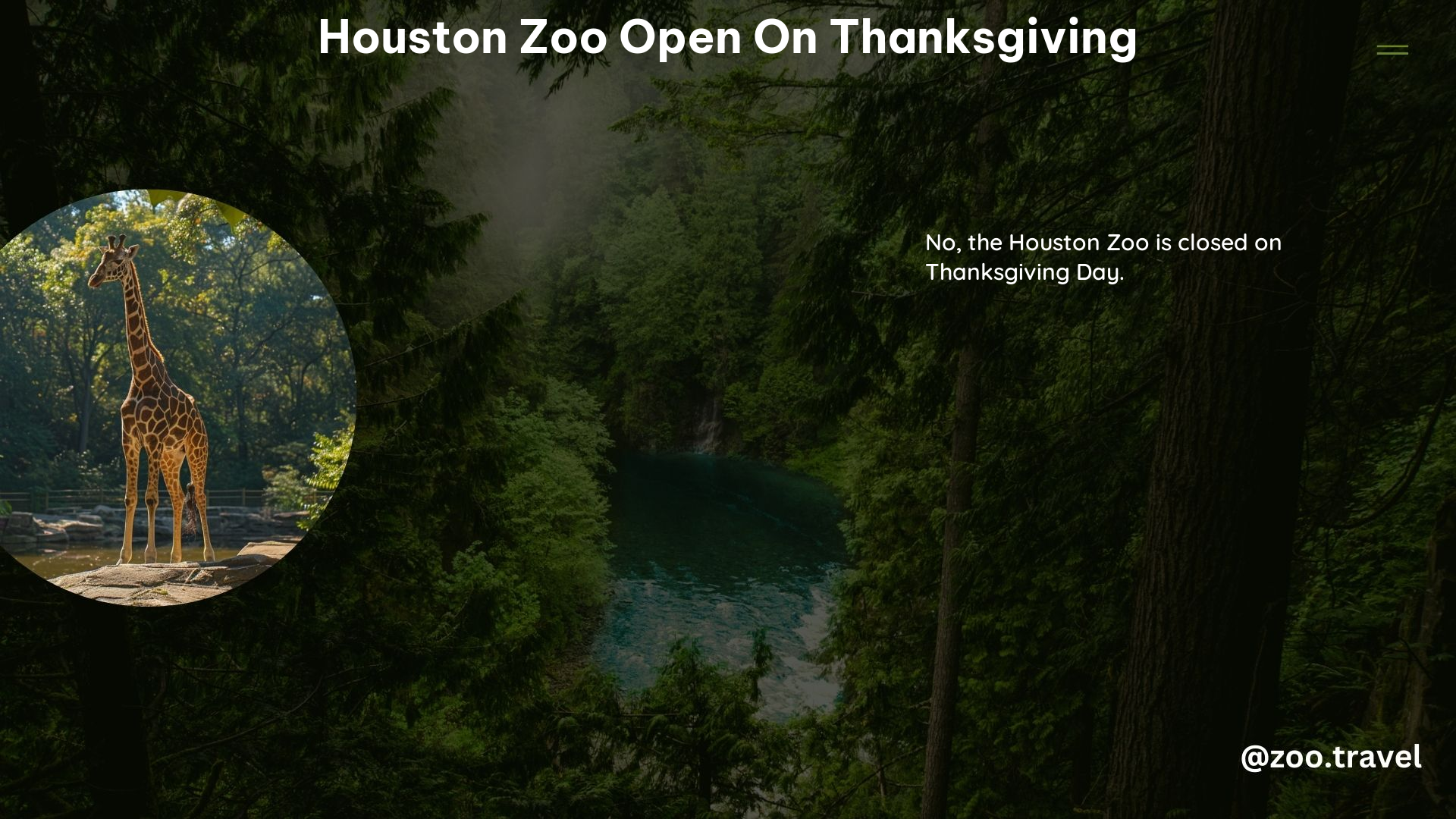 Houston Zoo Open on Thanksgiving