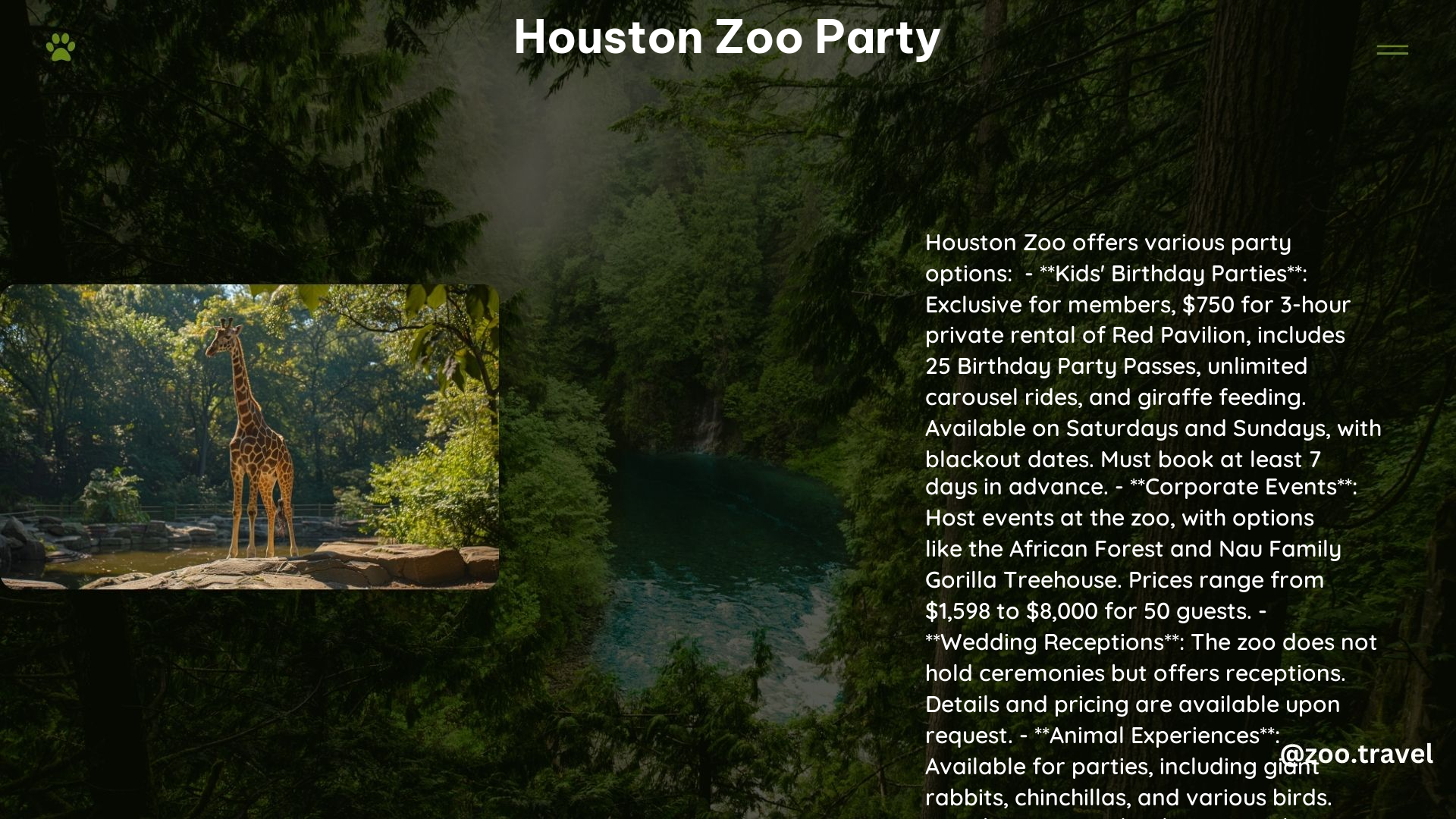 Houston Zoo Party