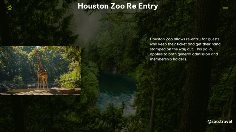 Houston Zoo Re Entry