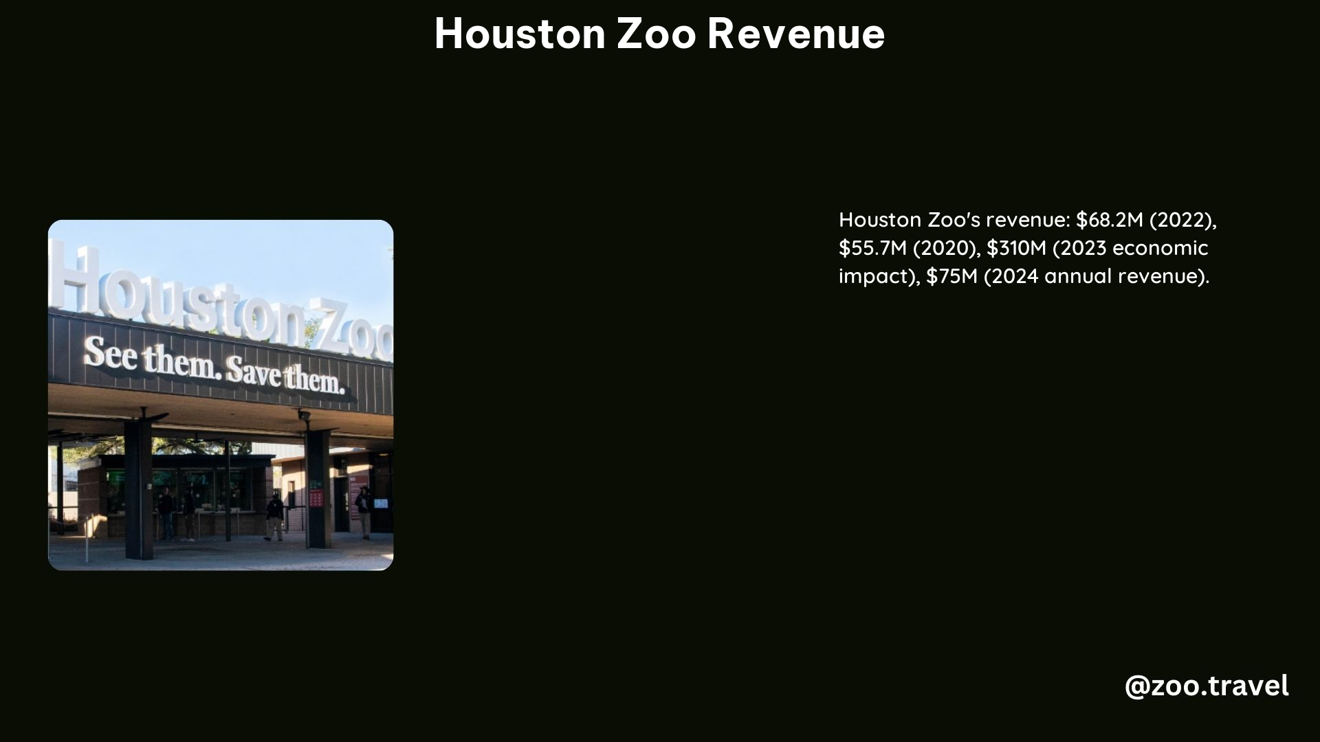 Houston Zoo Revenue