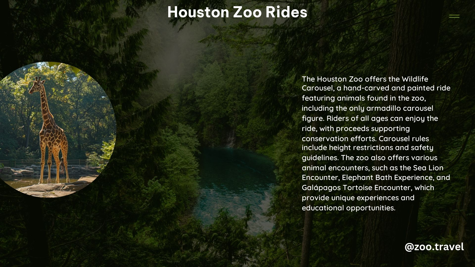 Houston Zoo Rides