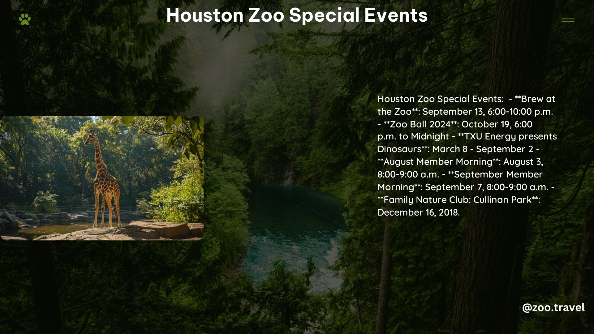 Houston Zoo Special Events