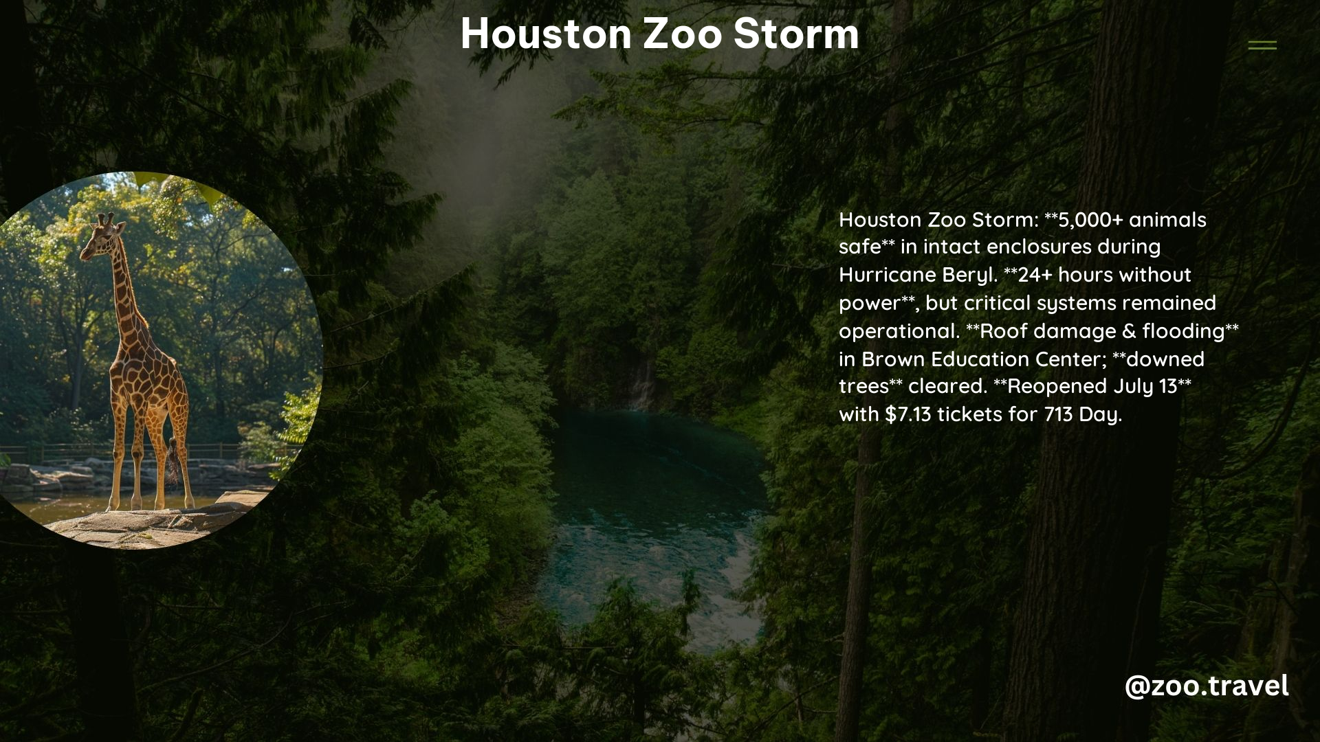 Houston Zoo Storm