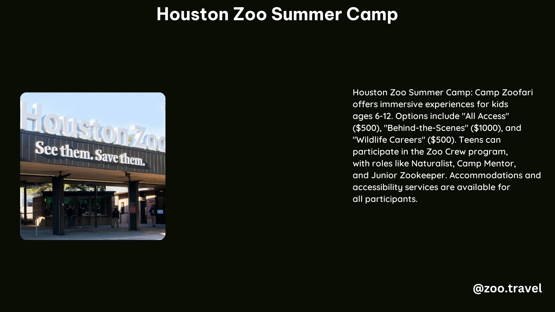 Houston Zoo Summer Camp