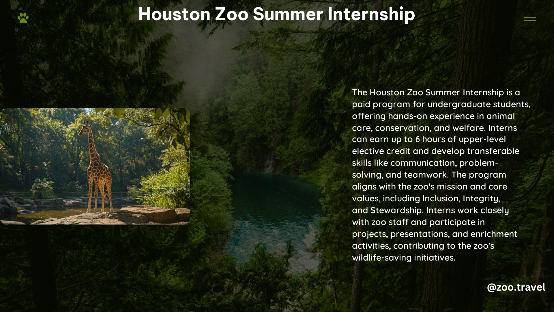 Houston Zoo Summer Internship