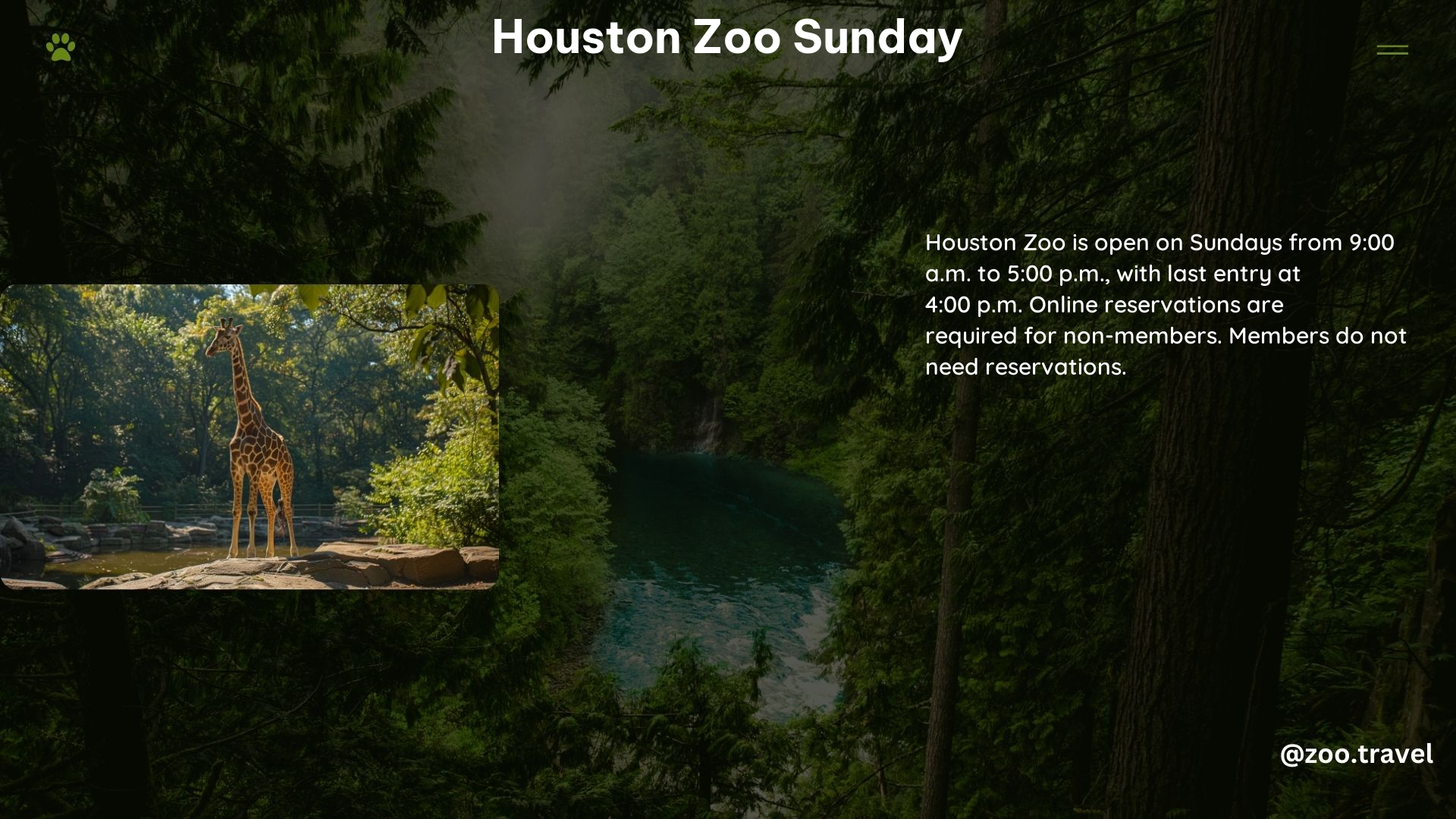 Houston Zoo Sunday