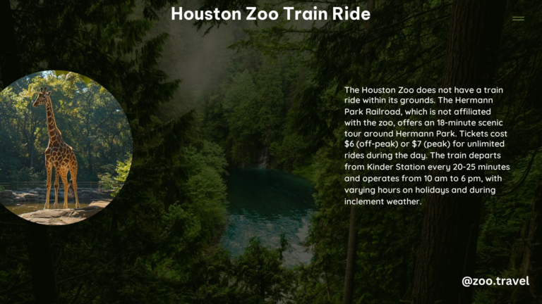 Houston Zoo Train Ride