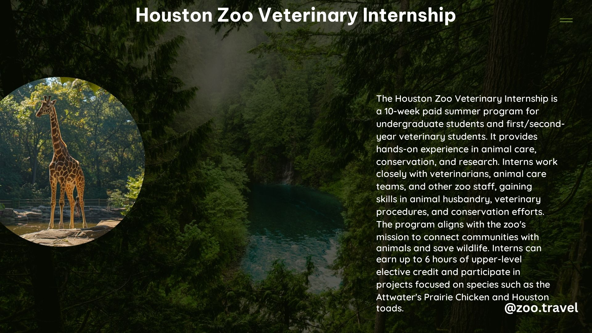 Houston Zoo Veterinary Internship