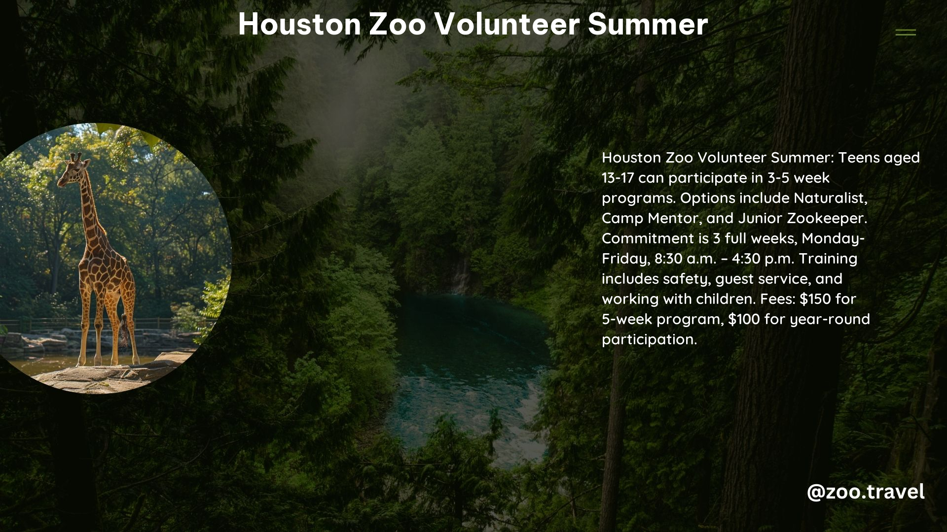 Houston Zoo Volunteer Summer