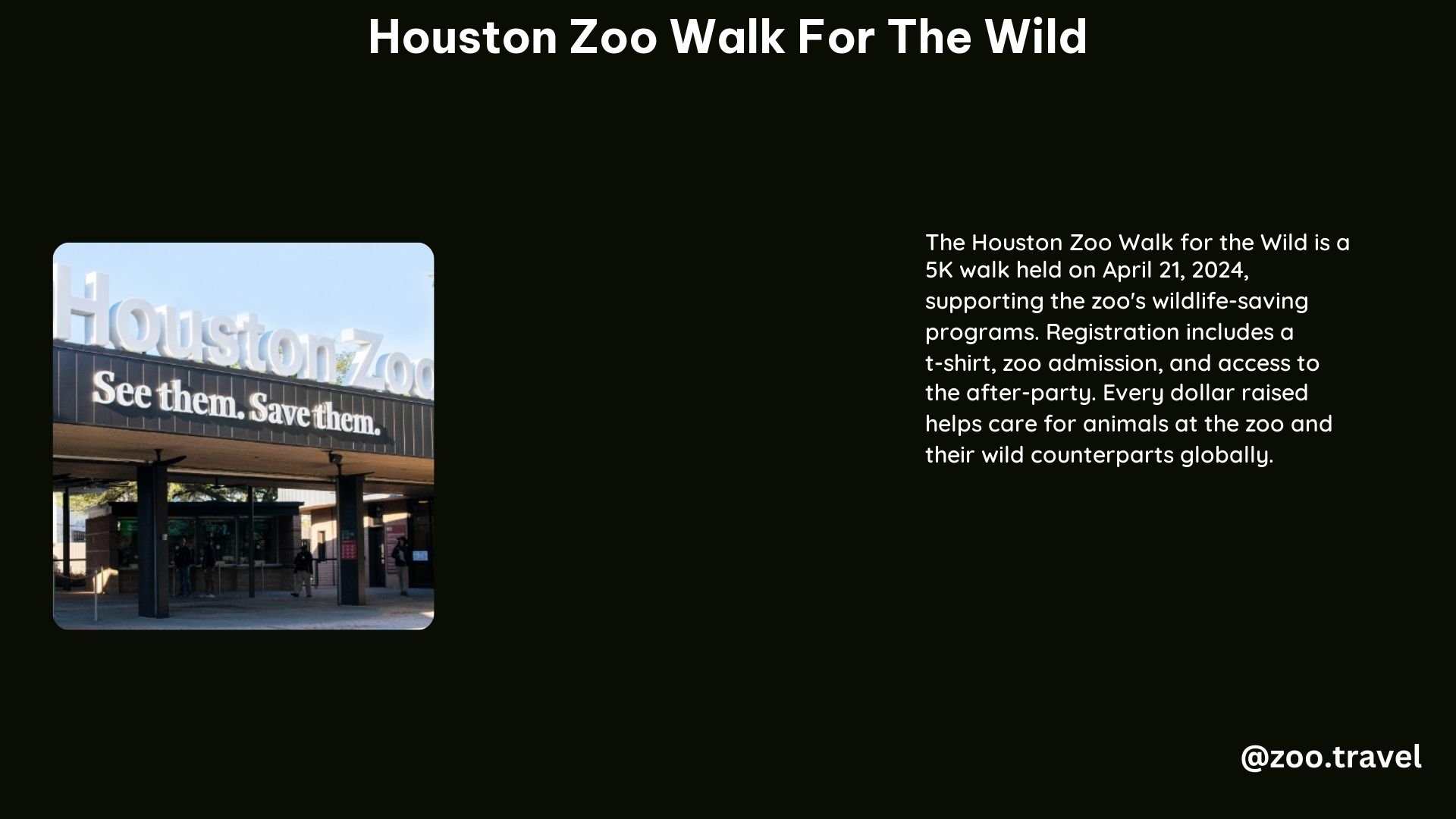 Houston Zoo Walk for the Wild