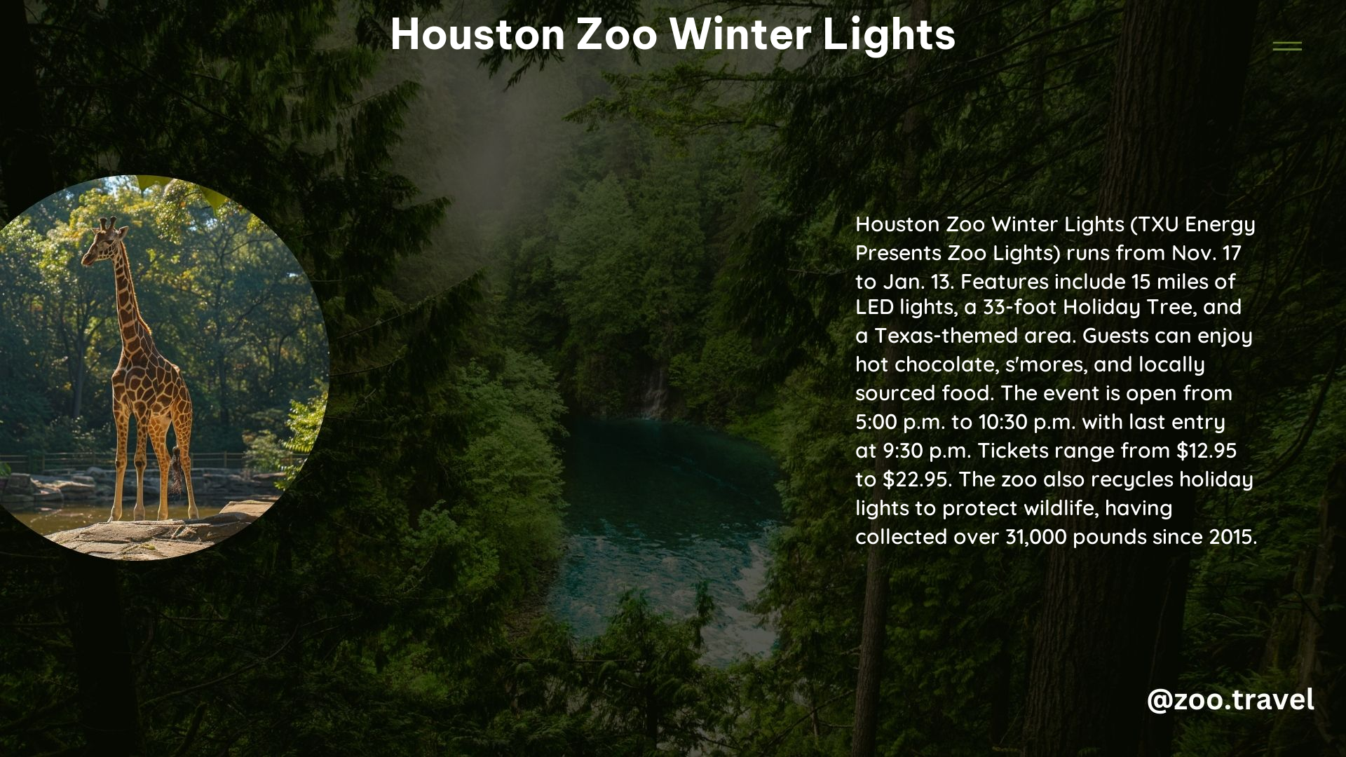 Houston Zoo Winter Lights