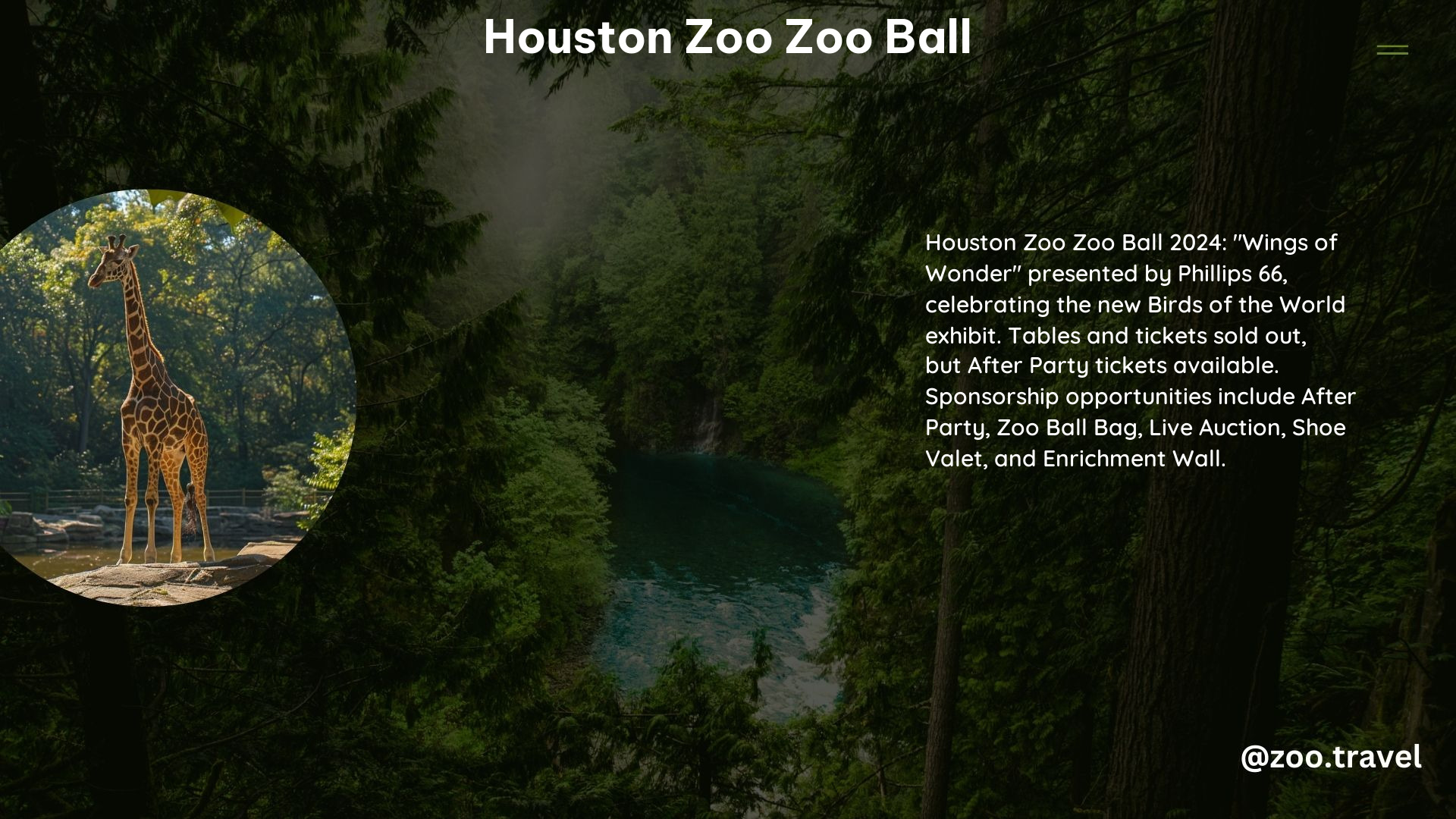 Houston Zoo Zoo Ball