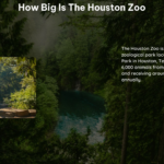 How Big Is the Houston Zoo