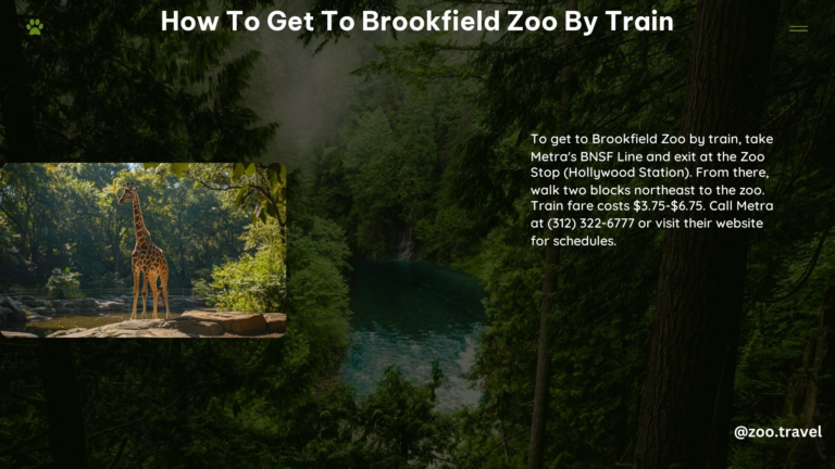 How to Get to Brookfield Zoo by Train