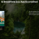 Is Brookfield Zoo Aza Accredited