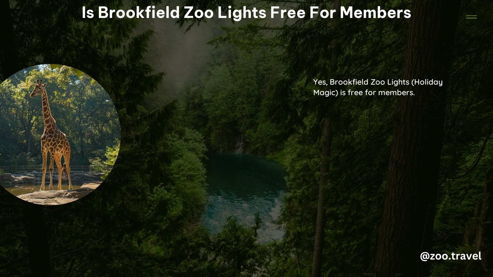 Is Brookfield Zoo Lights Free for Members