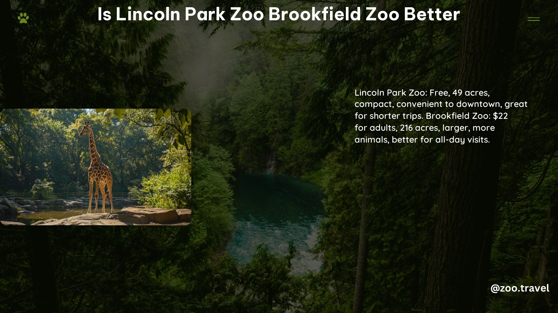 Is Lincoln Park Zoo Brookfield Zoo Better