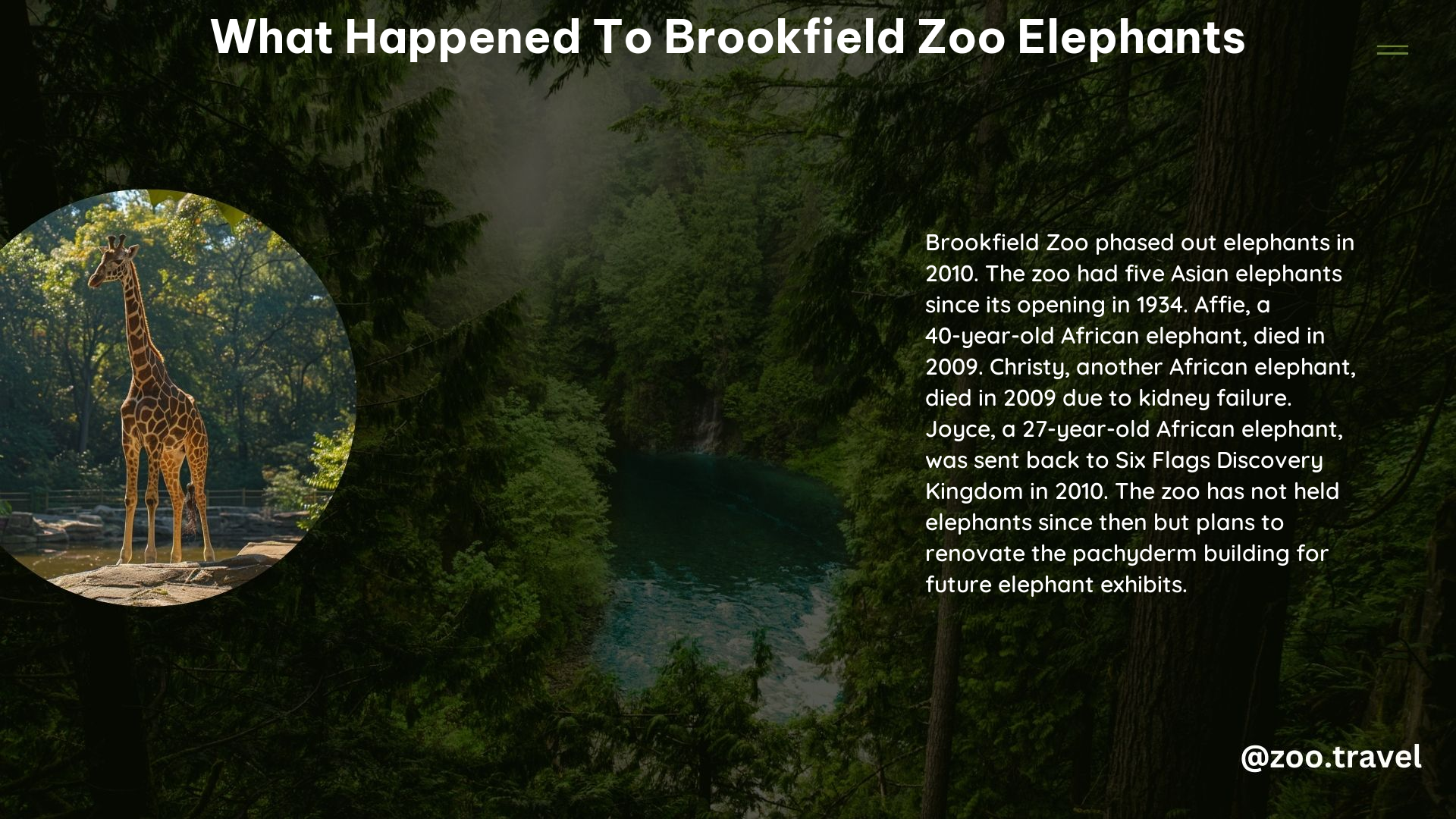 What Happened to Brookfield Zoo Elephants