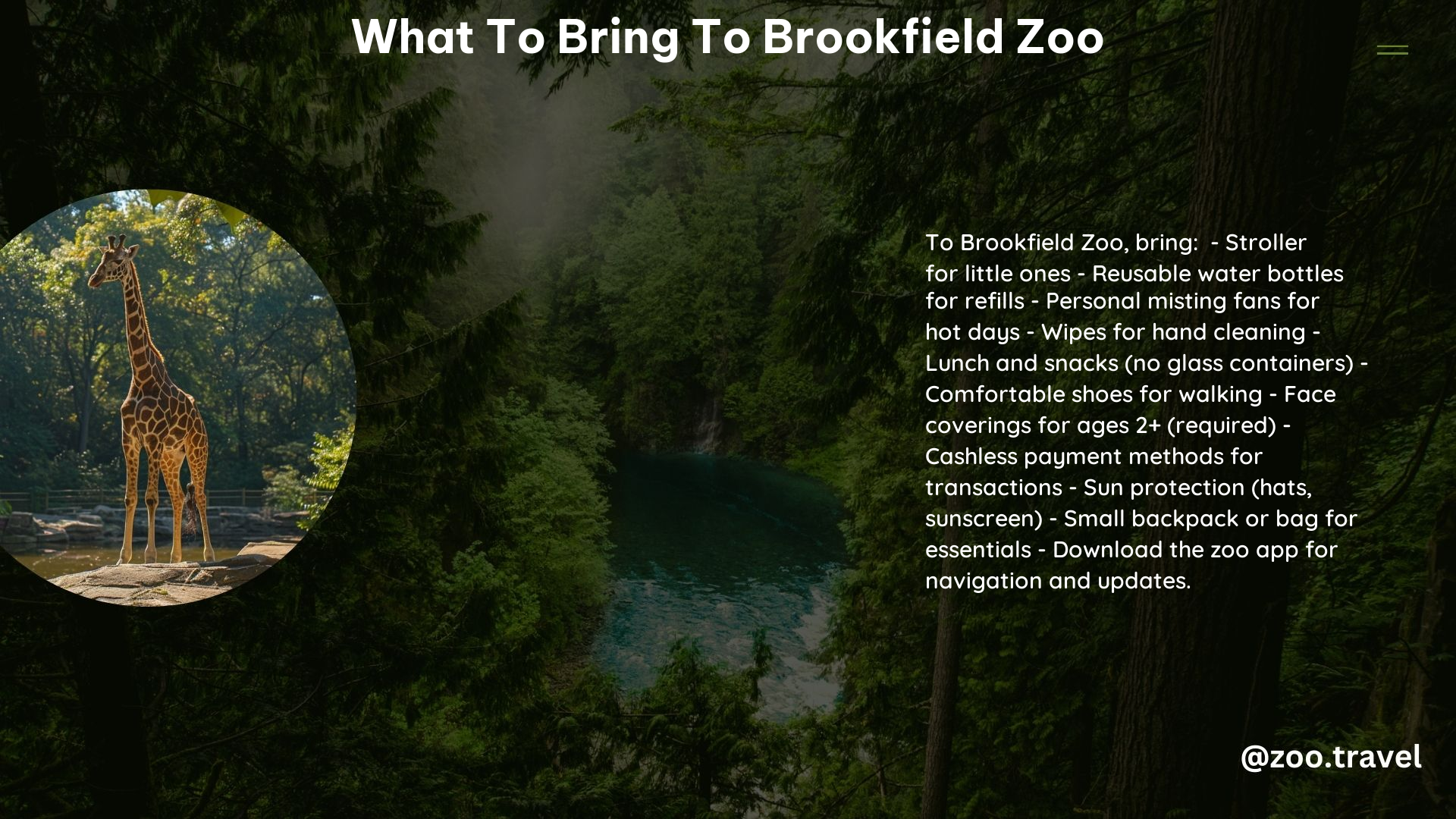 What to Bring to Brookfield Zoo