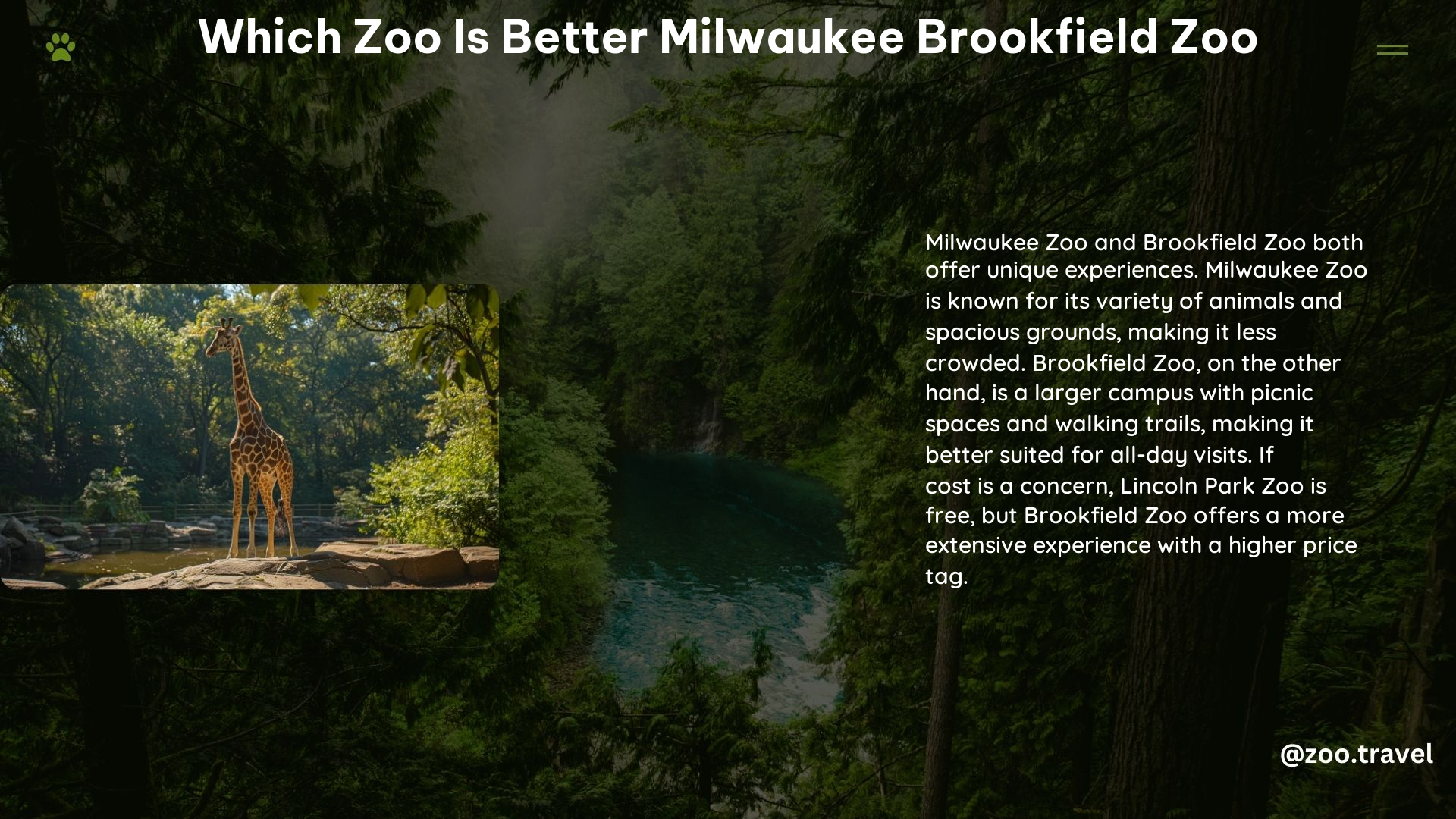 Which Zoo Is Better Milwaukee Brookfield Zoo