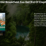 Why Did Brookfield Zoo Get Rid of Elephants